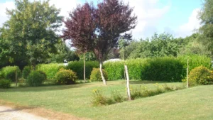 Nos emplacements de camping en Bretagne Sud dans un cadre naturel verdoyant