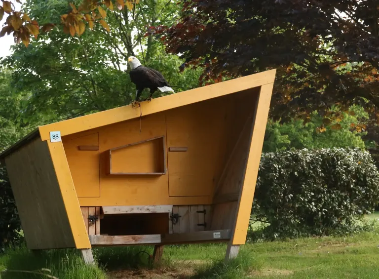 Hébergement insolite en Bretagne : cabane pour randonneurs